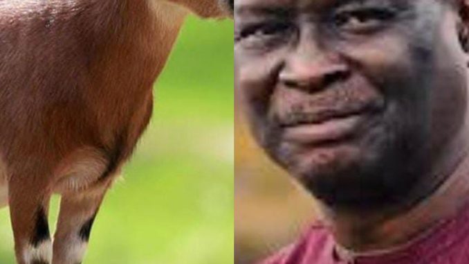 “Goat” – Mike Bamiloye Condemns Those Who Call Themselves Goat