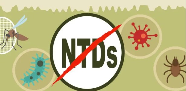 Report: Nigeria, 15 others rank highest in NTDs globally