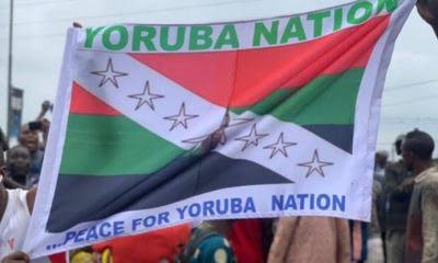 Yoruba Nation Chairman Adeniran Resigns, Gives Reason