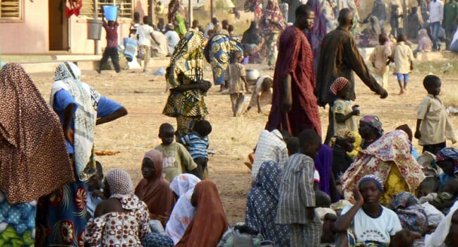 Borno man’s 4 wives deliver same day in camp – Commissioner reports