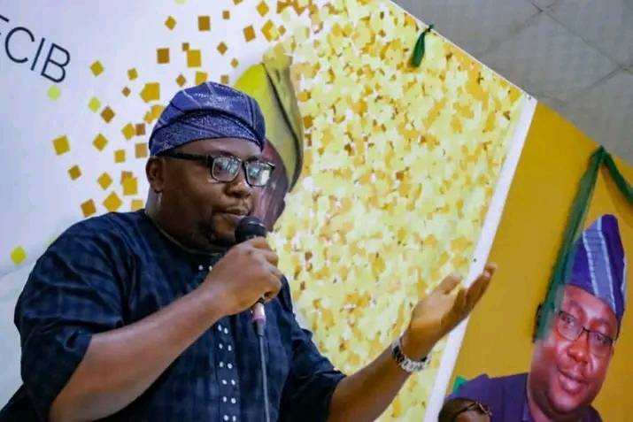 “Minister of Power Is Too Clueless, Sack Adelabu Now” – FG Told