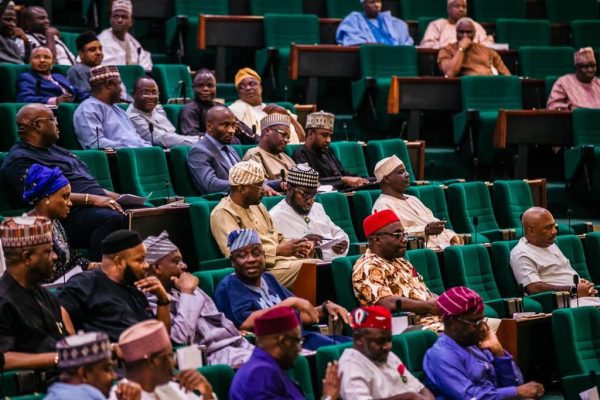 Reps: FG $22bn loan request rejected by Chinese bank