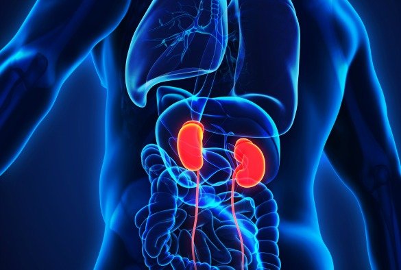 Nduka: 90 per cent of Nigerians suffering kidney disease are unaware