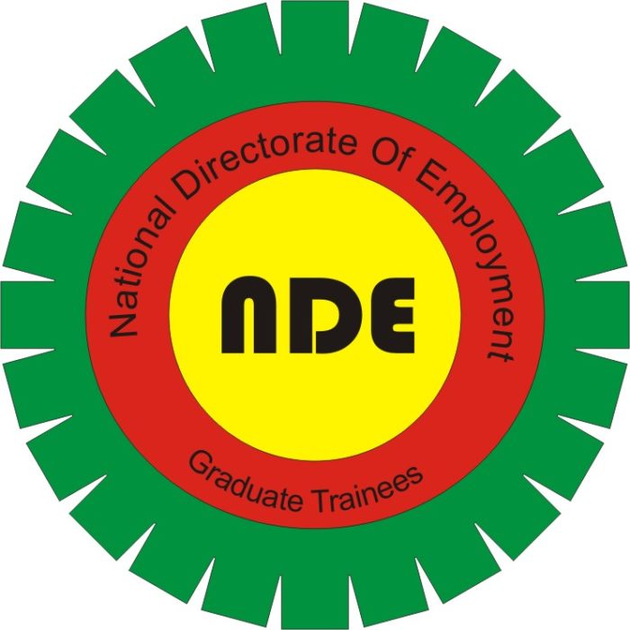 Breaking: 74 micro businesses get NDE loans