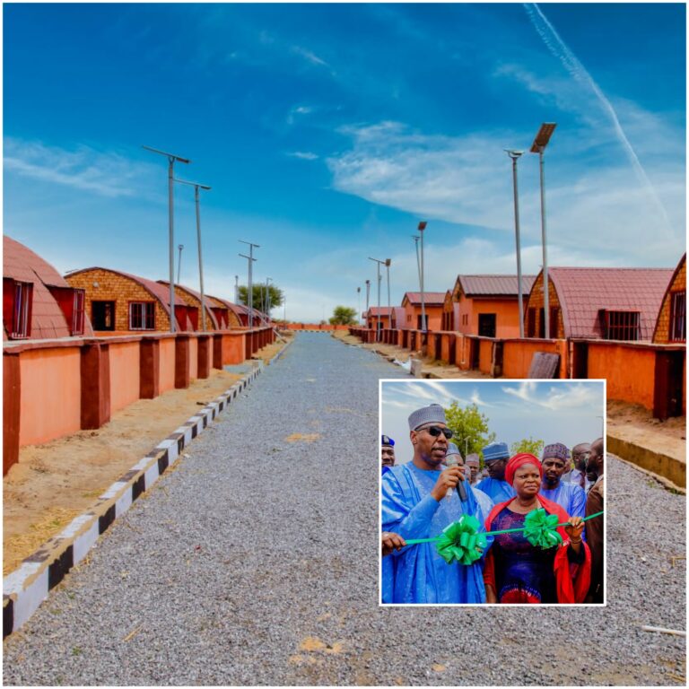 BREAKING: OSSAP-SDGs delivers 300 housing units, other projects for IDPs in Borno