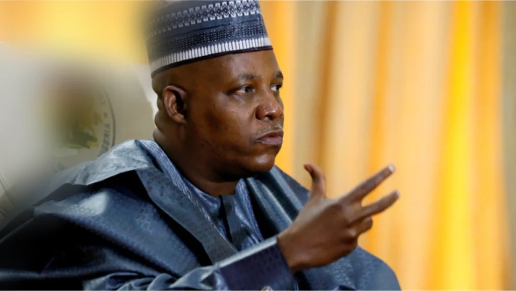 Economy: There are forces that are causing the hardship – VP Shettima