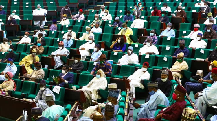 Reps: Terminating passport contract will cost FG N22bn 