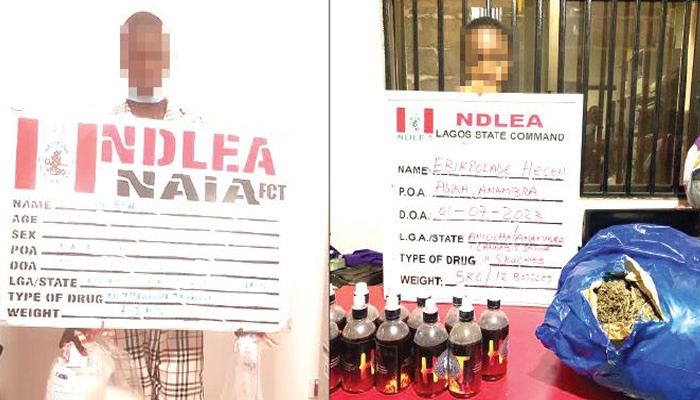 NDLEA nabs Europe-bound undergraduate, Lagos lawyer with drugs— Report