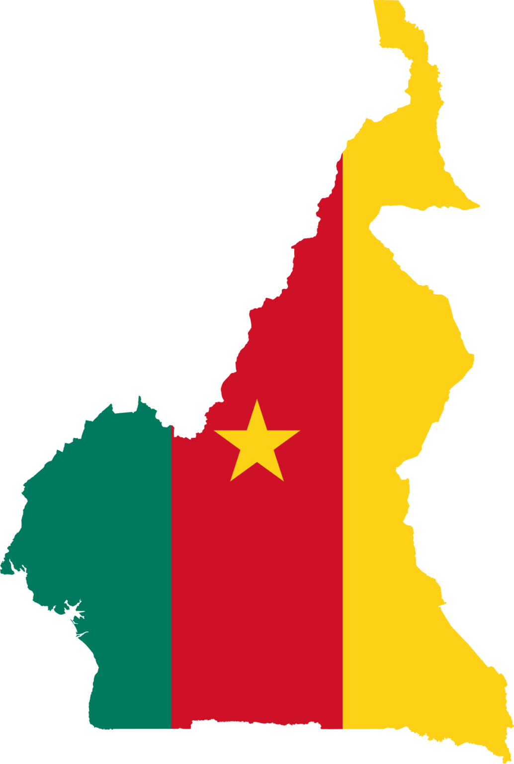 Gunmen reportedly Kill 10, Injure Two In Cameroon
