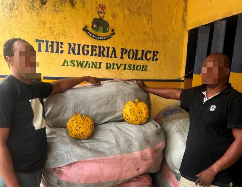 Lagos police intercept illicit drugs worth N13m— Report