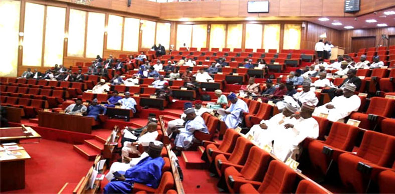 BREAKING: Senate rejects electricity tariff hike, probes N2tn subsidy