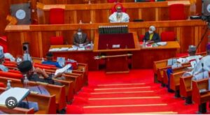 Coup: House Rejects President Tinubu’s proposal for military intervention in Niger Republic