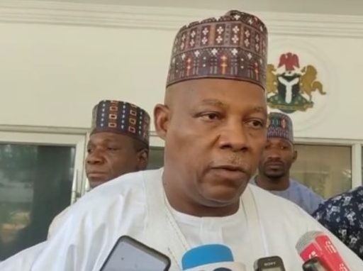 Shettima: No military solution to North West security crisis
