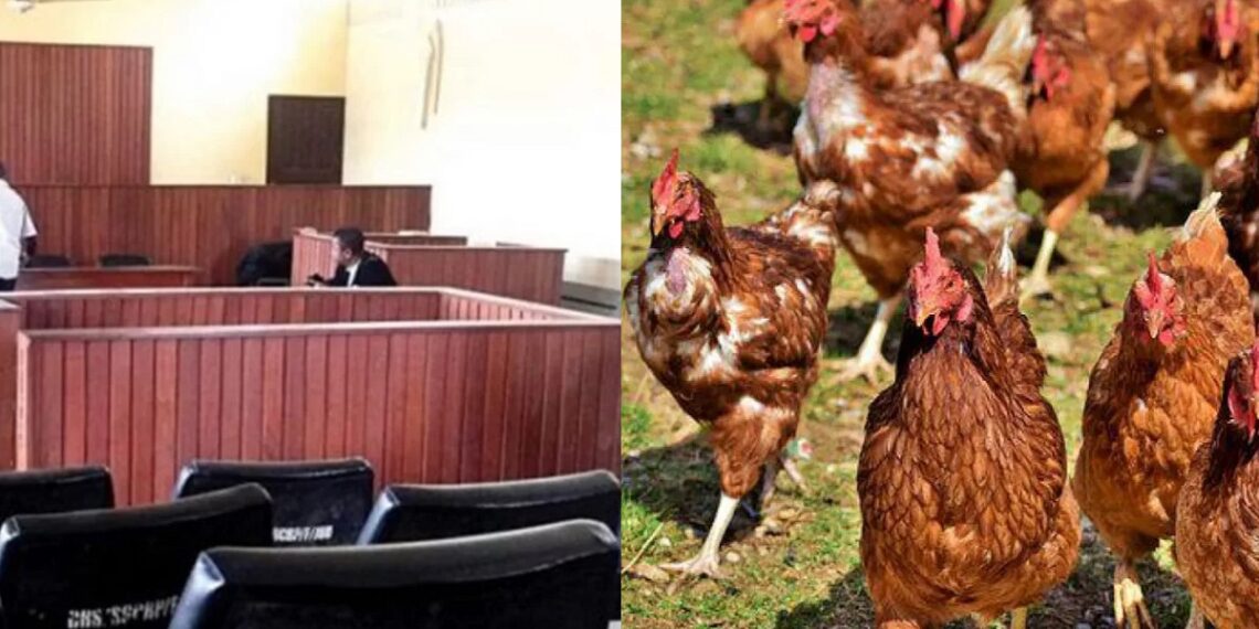 Nigerian Man sentenced to prison for stealing chickens