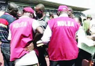 NDLEA seizes N56.9m worth of illicit drugs in FCT, arrests 343 suspects— Report