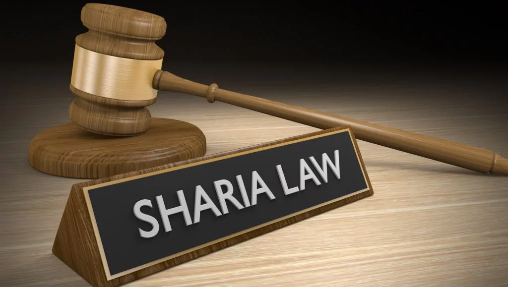 Sharia court remands labourer for allegedly stealing cow skin— Report 