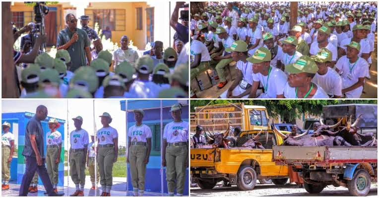 Palliative: Gov Zulum Gives N30,000 to Each NYSC Member, Shares 100 Rice, 10 Cows