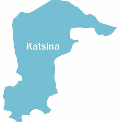 Katsina government retires District Head for approving marriage of a HIV-positive patient— Report