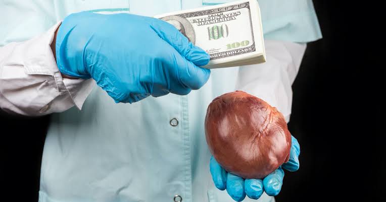 Organ Harvesting: Two Nigerian Doctors Arrested For ‘Removing Woman’s Kidney’