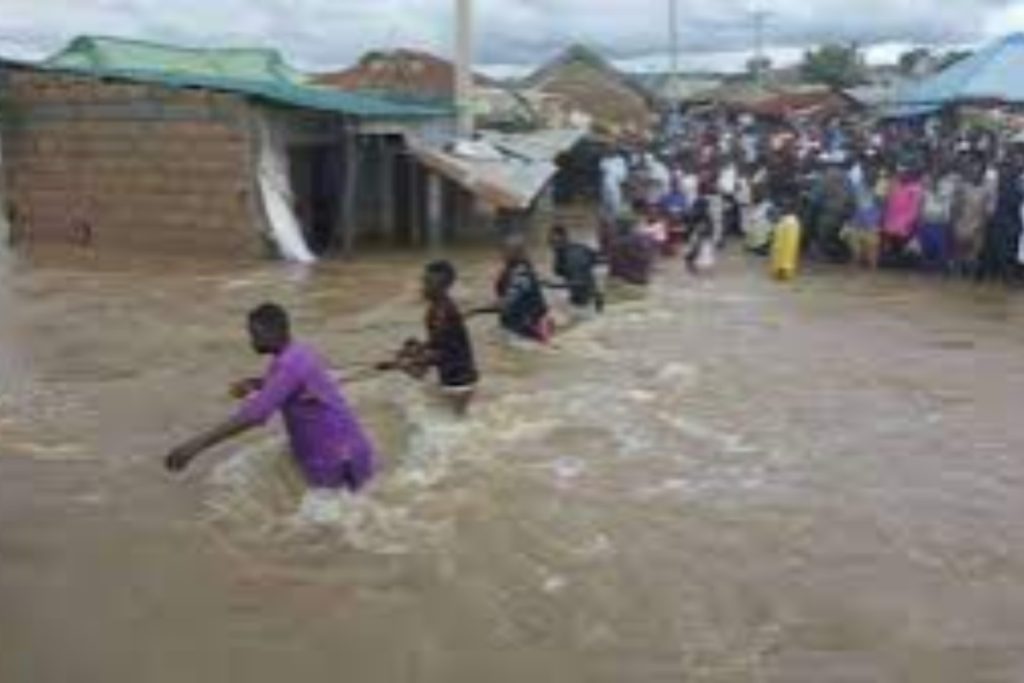 Flood displaces hundreds of people from Adamawa community— Report 