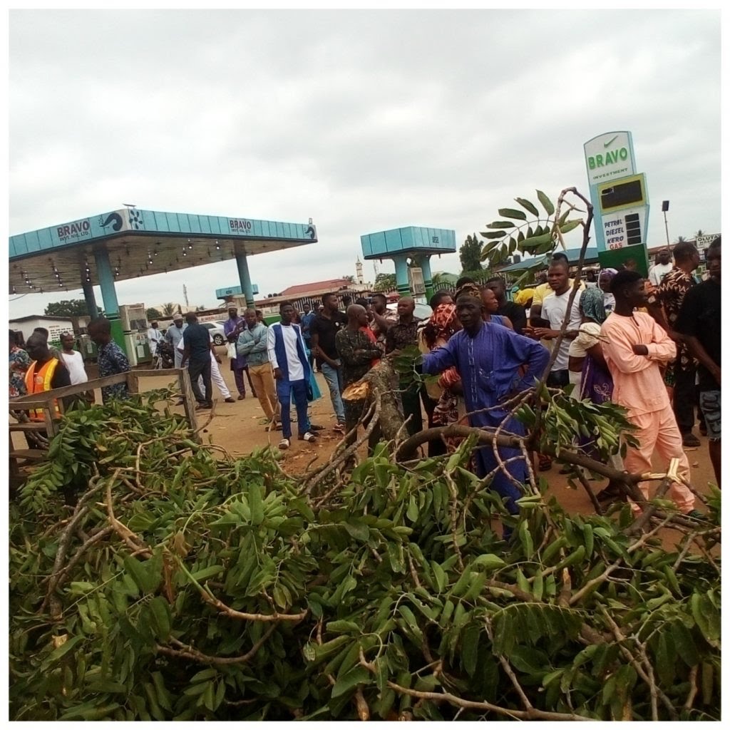Fallen Tree Claims Two Lives, Injures Ten Others In Ilorin
