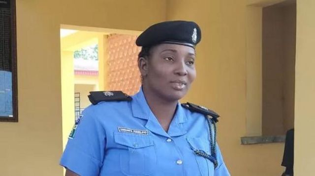 Ondo police arrest housemaid, son over killing of boss— Report