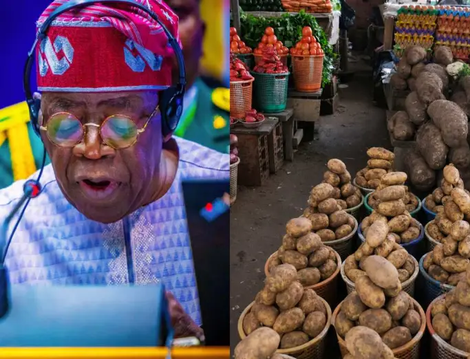 Mixed Reactions as FG rules out food importation, says “Nigeria capable of feeding itself”