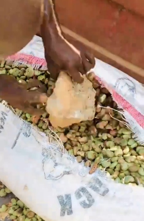 Farmer Exposed For Hiding Cement Blocks Inside Cashew Bags
