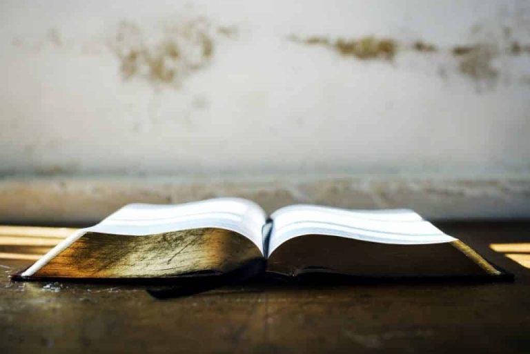 A MUST READ: How Bible History Comes Alive on Faith-Based Tours