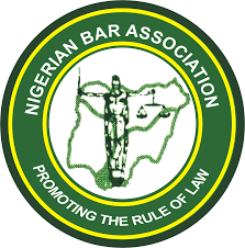 NBA reacts to beating, abuse of Yobe lawyer by police