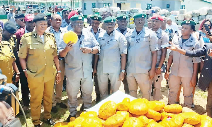 Customs reportedly seize N1.9bn hard drugs, expired flour at Seme border